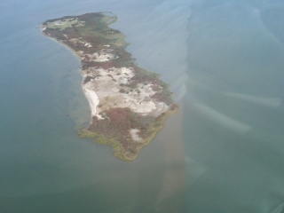 img00501-20110830-0959